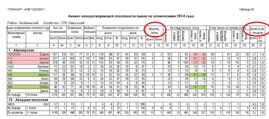 Как самостоятельно зарезать быка и разделать тушу.