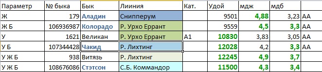 Как самостоятельно зарезать быка и разделать тушу.