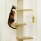 Порадуйте своего кота самодельной лестницей