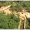 Дачник из Канска собственноручно построил огромную лестницу для спуска к реке