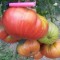 Все узлы/результат кластеризации/королевский сад интернет магазин семена томатов