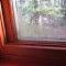 Почему потеют окна в доме, и как избавиться от конденсата на них