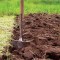 Исследовательская работа «условия выращивания зеленого лука»