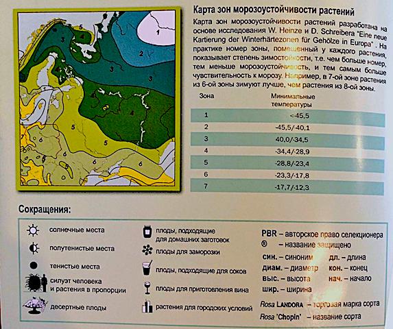 Зоны зимостойкости россии. Карта зон морозостойкости растений в России. Зона морозостойкости USDA: 5. Зона USDA 4 зимостойкости. Зона морозостойкости 6.