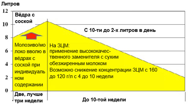 Схема выпойки молока телятам таблица excel